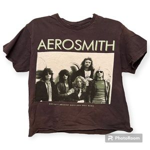 Vintage Aerosmith T-Shirt in Grey - Cropped Tee